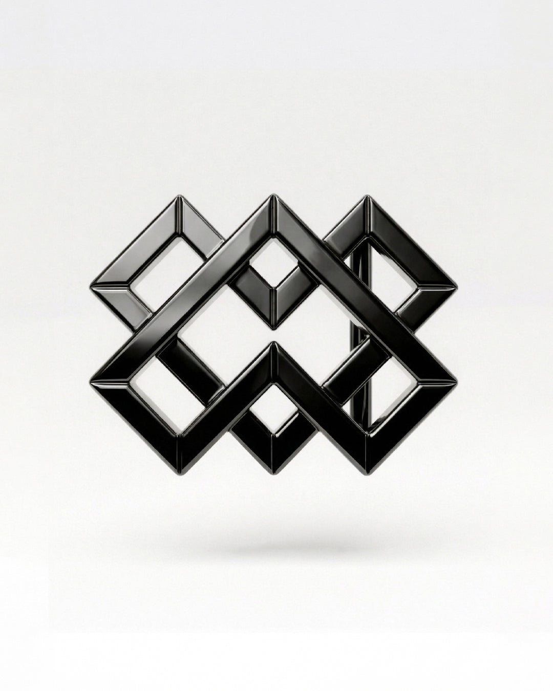 BS Isotype Shiny Black Buckle