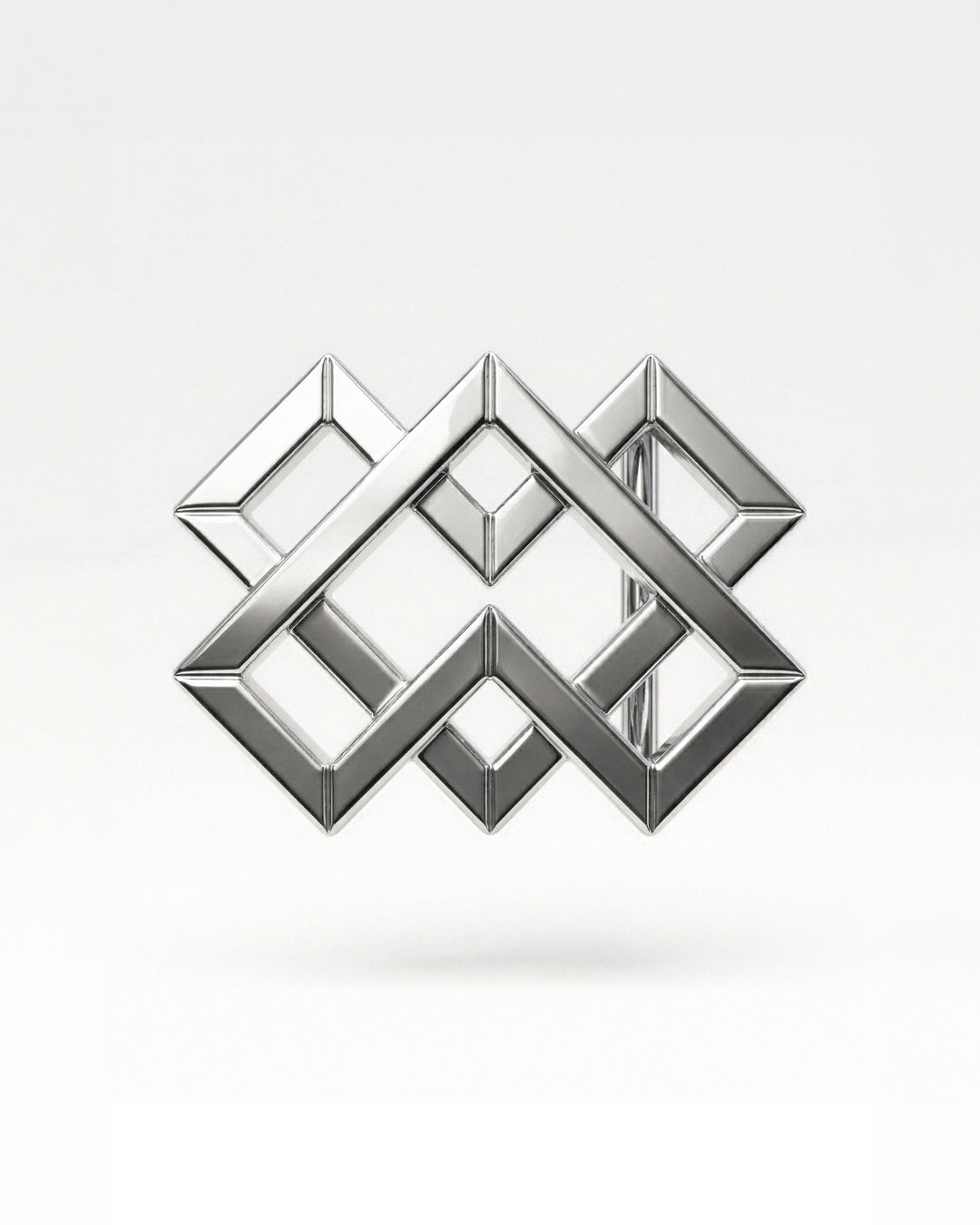 BS Isotype Shiny Silver Buckle